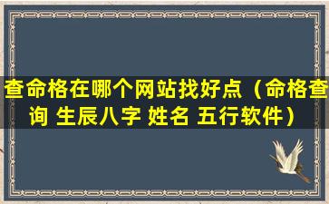 查命格在哪个网站找好点（命格查询 生辰八字 姓名 五行软件）